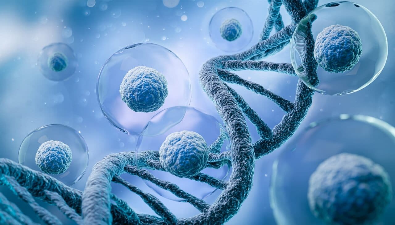 Stem Cell IV Therapy: The Future of Anti-Aging & Wellness
