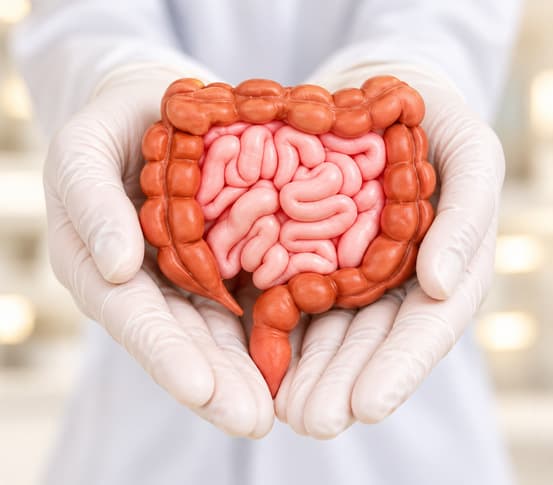 Gut Microbiome Test