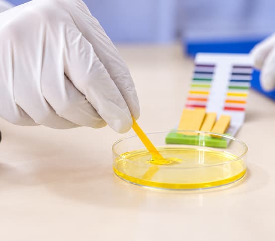 Organic Acid Test