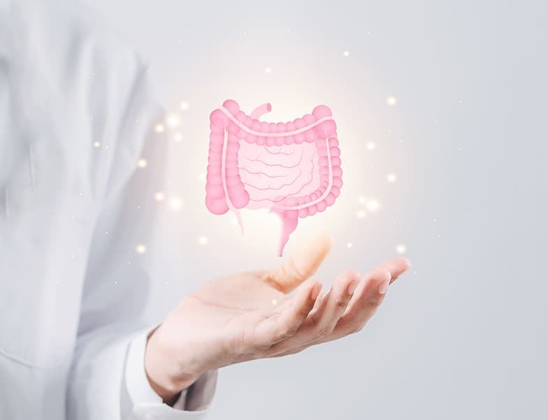 Gut Microbiome
