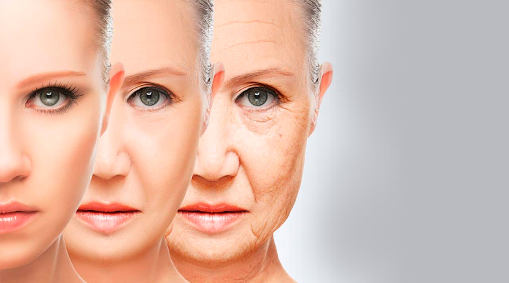 Understanding, Managing, and Slowing the Aging Process
