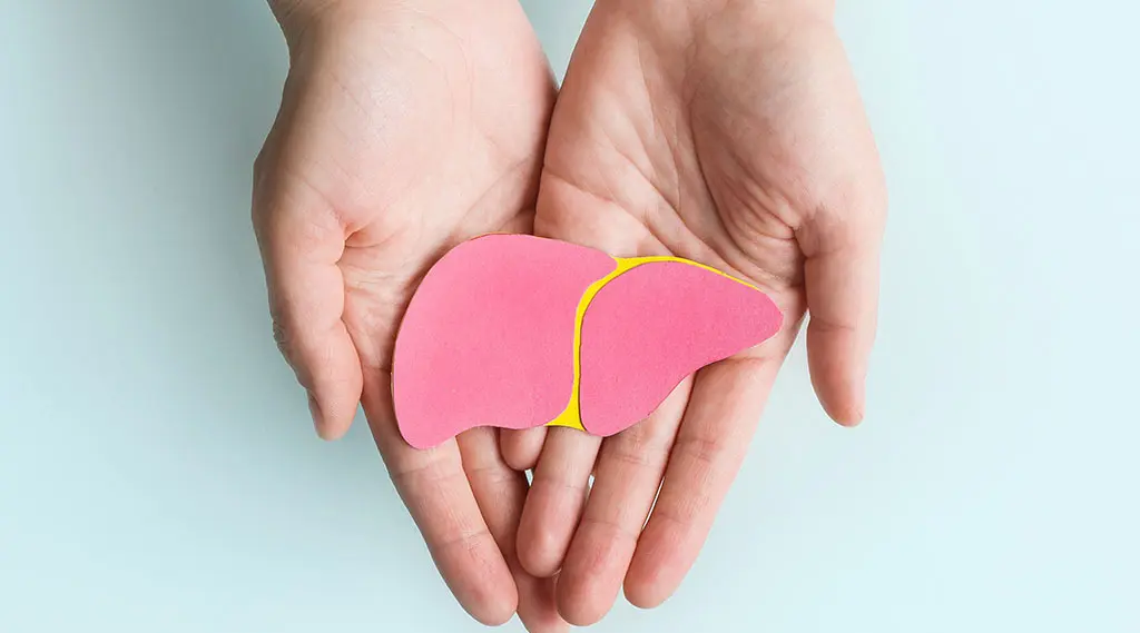 Liver Health: Fundamental Functions, Lifestyle Tips, and IV Therapy